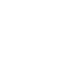 Cicada Co. logo